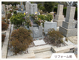 (リフォーム前) 植木が大きくなりすぎた墓所