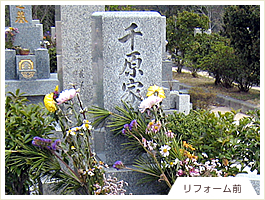 (リフォーム前) イノシシに荒らされた墓所